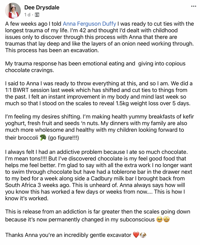 Client testimonial 15